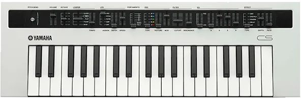 Восстановление после попадания влаги Yamaha Reface Cs