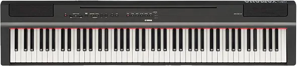 Восстановление после попадания влаги Yamaha P-125B