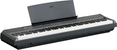 Восстановление после попадания влаги Yamaha P-121